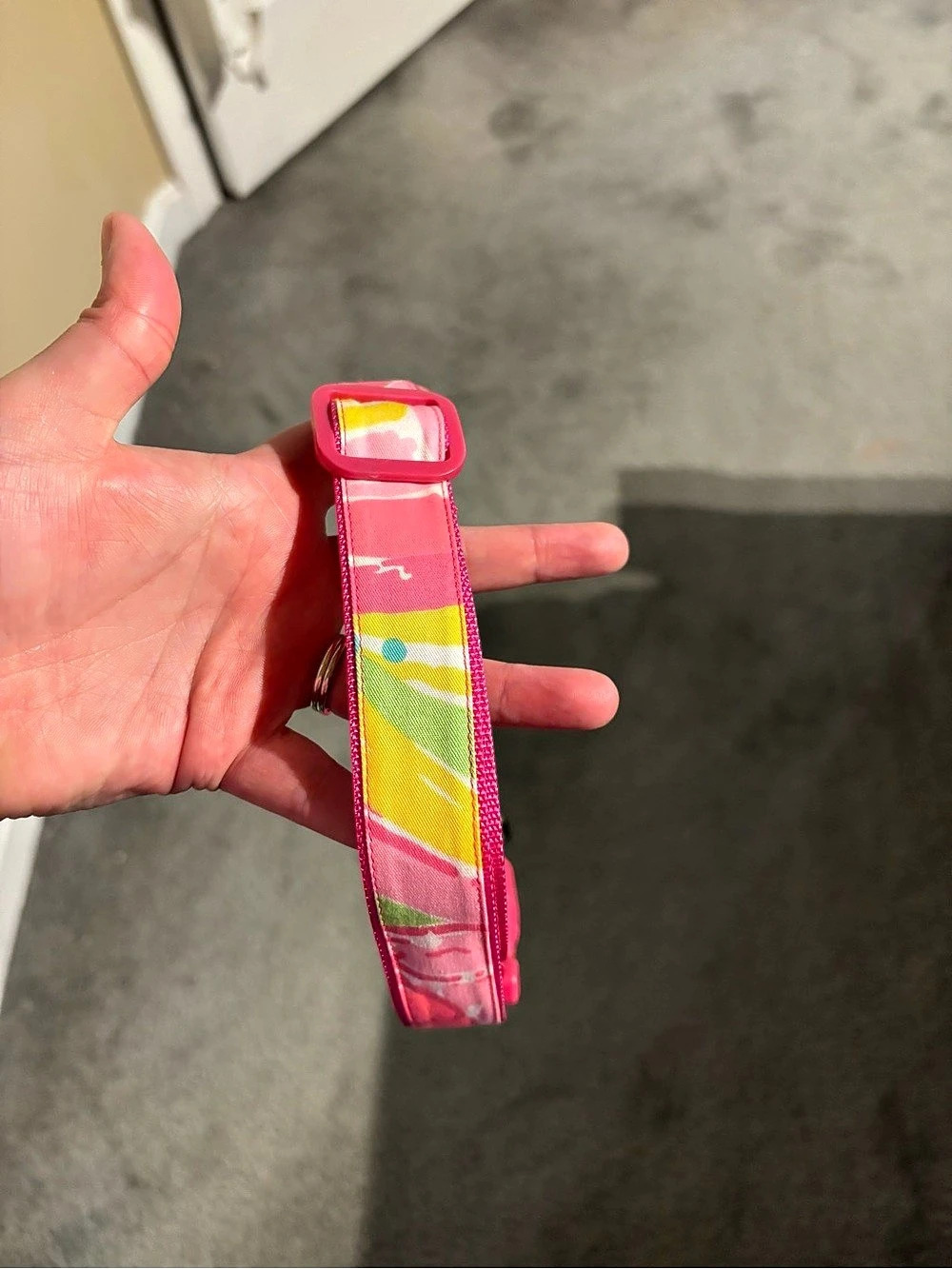 Lilly Pulitzer inspired dog collar- large